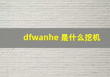 dfwanhe 是什么挖机